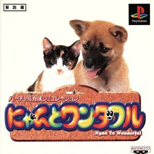 Meow and Wonderful