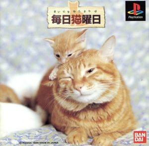Every day cat day