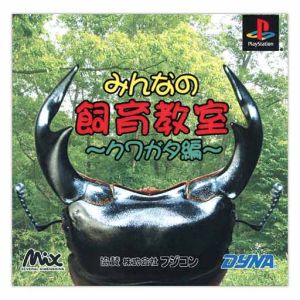 Everyone's Pet Care Class: Stag Beetle Edition
