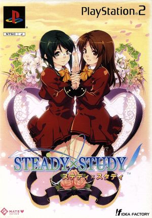 Steady x Study (Limited Edition)