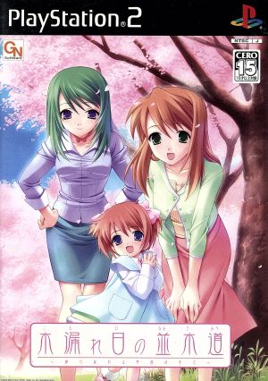 A Tree-Lined Path Dappled with Sunlight - Amid the Changing Seasons -