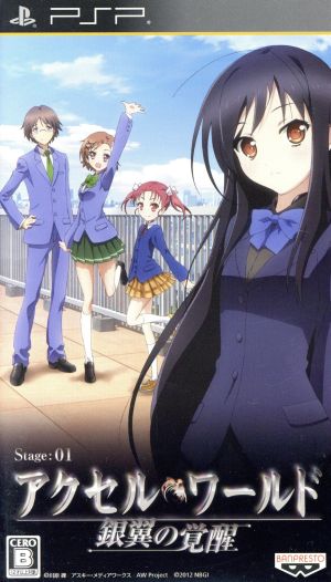 Accel World - Awakening of the Silver Wings -