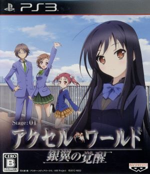 Accel World -Awakening of the Silver Wings-