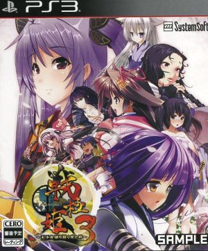 Sengokuhime 3 ~Light and shadow that cuts through the world~