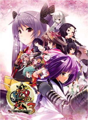 Sengokuhime 3 ~Light and shadow that cuts through the world~ [System software selection]