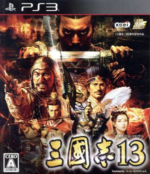 Romance of the Three Kingdoms 13
