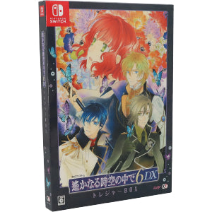 In the distant time and space 6 DX <Treasure BOX>